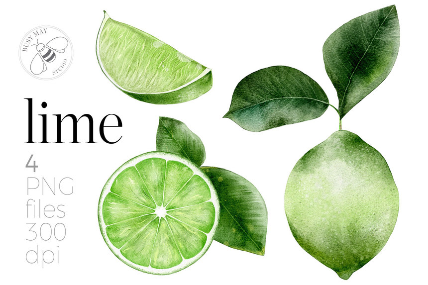 25xt-484976 Watercolour Citrus Fruit Leaves Summer Fruit Lemons Limes-5.jpg