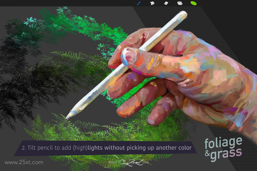 25xt-485076 60 Foliage & Grass Procreate brushes 3.jpg