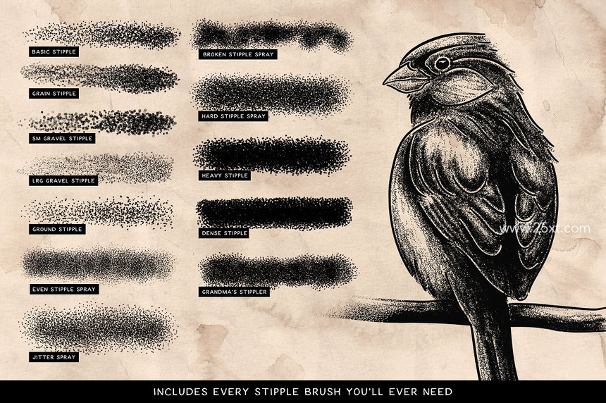 25xt-485548-Stipple Shading Brushes for Affinity2.jpg
