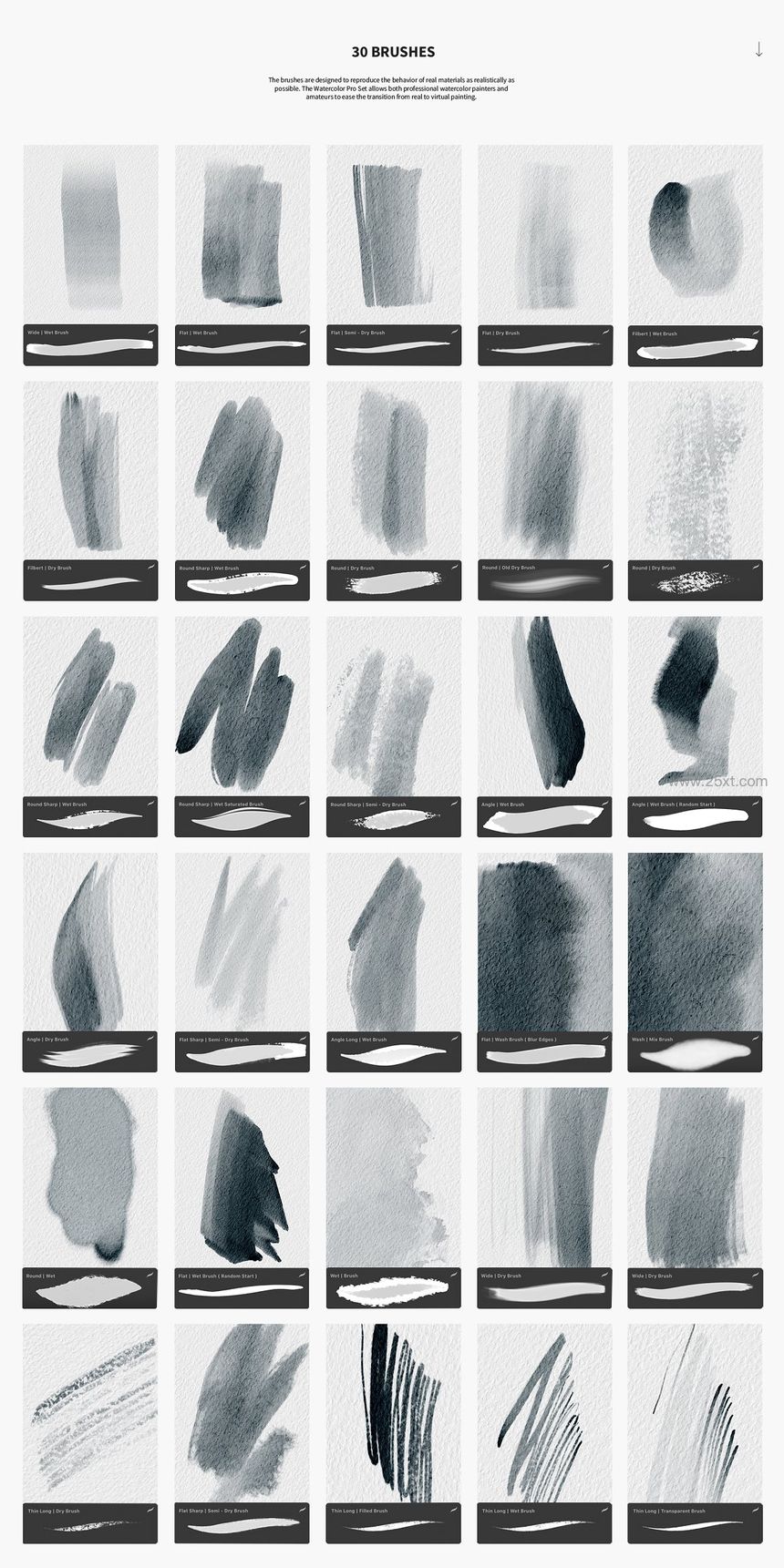 25xt-485729-Watercolor Pro Set for Procreate3.jpg