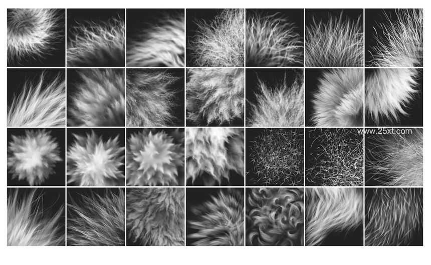 25xt-485752-28 Realistic FUR Photoshop Brushes6.jpg