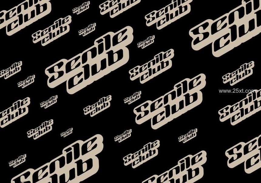 25xt-488041-Bicrode - Display Font7.jpg