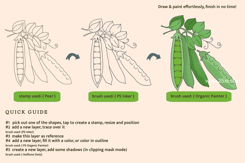 25xt-488141-Fruit & Veggies Brush Kit -Procreate3.jpg
