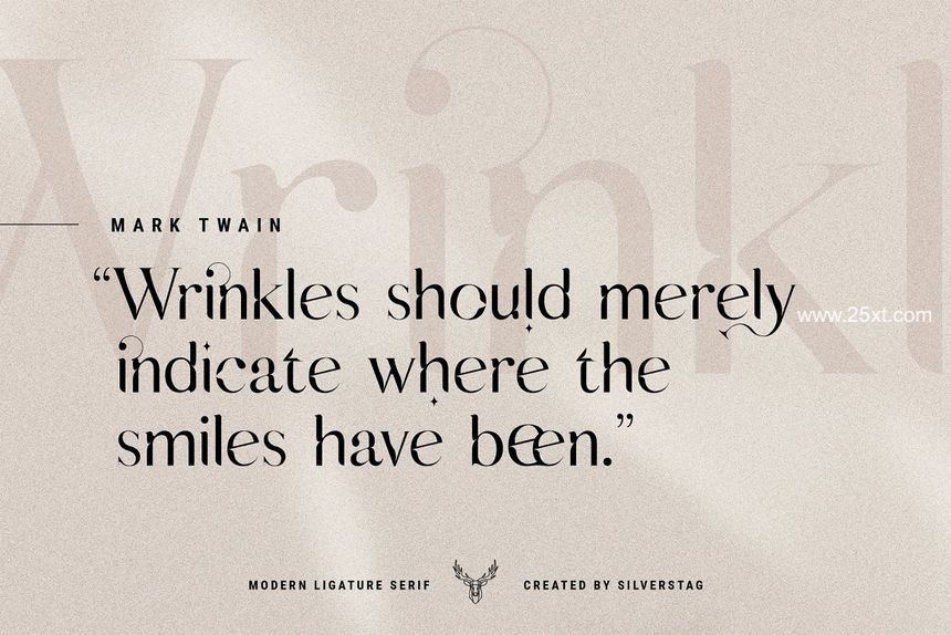 25xt-488204-Chic & Elegant Serif Font Bundle12.jpg