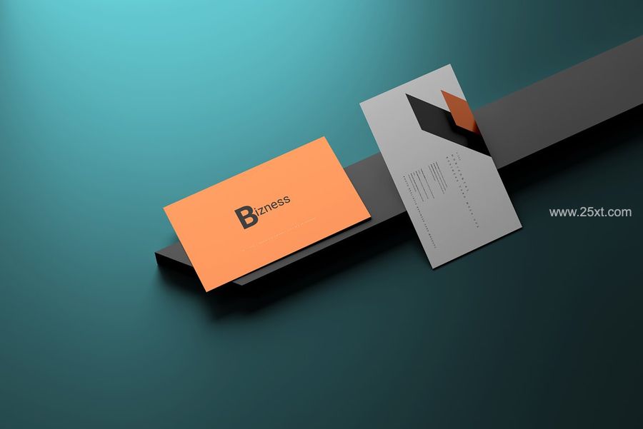 25xt-171251-Horizontal Business Cards Mockup5.jpg