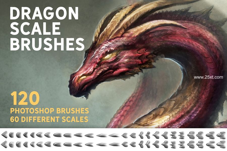 25xt-171571-Dragon bundle4.jpg