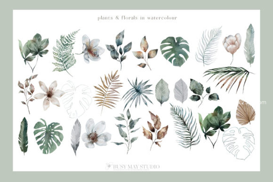 25xt-163833-Modern Tropical Huge Collection3.jpg