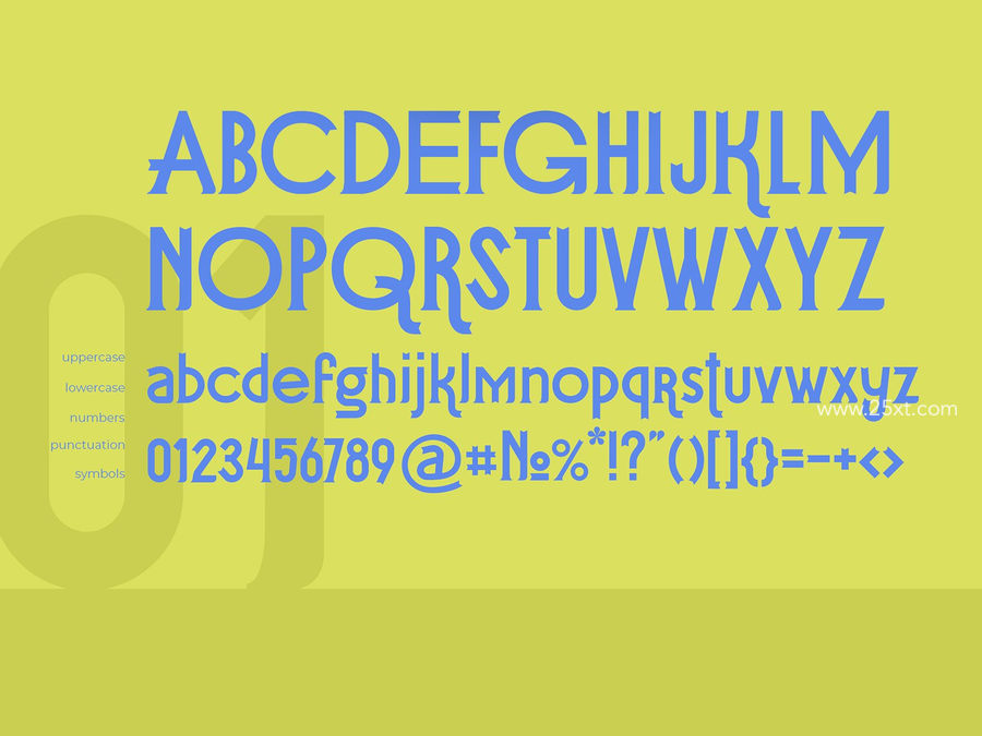 25xt-163930-Curvede4.jpg