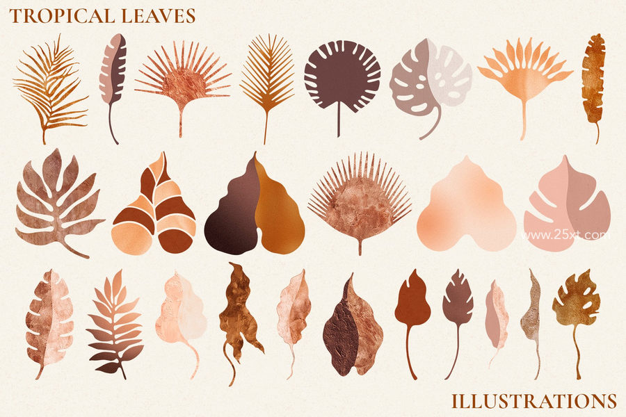25xt-164026-Tropical Leaves and Abstract Shapes4.jpg