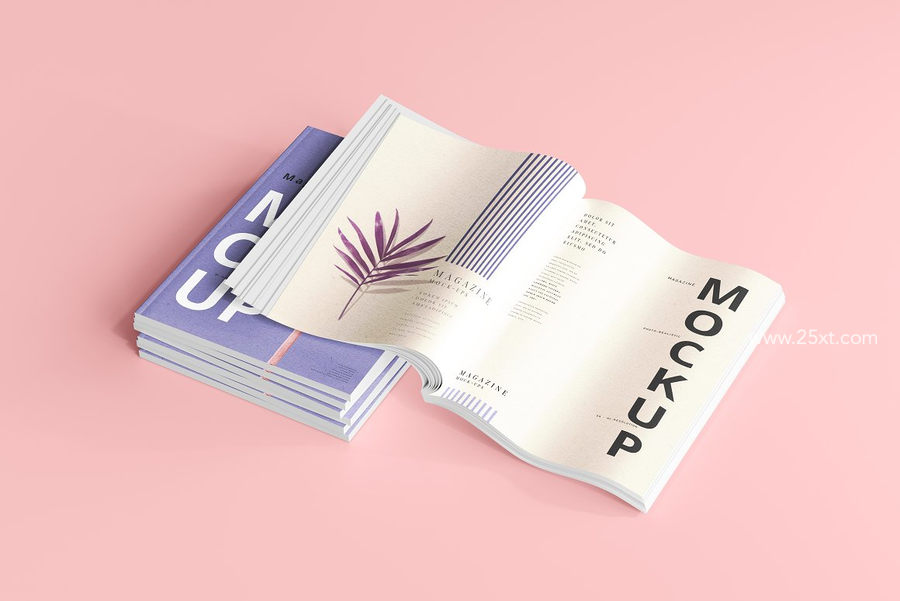 25xt-173009-Magazine Mockups5.jpg