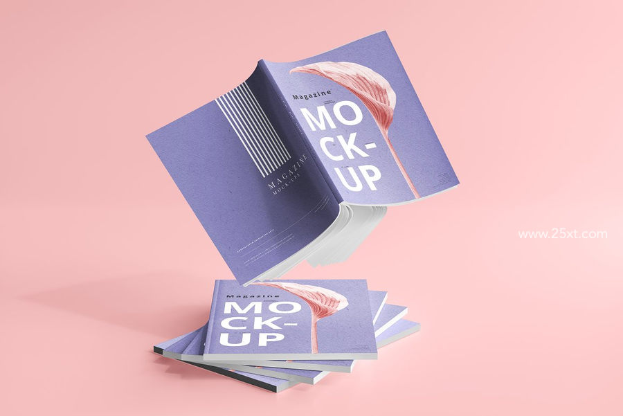 25xt-173009-Magazine Mockups4.jpg