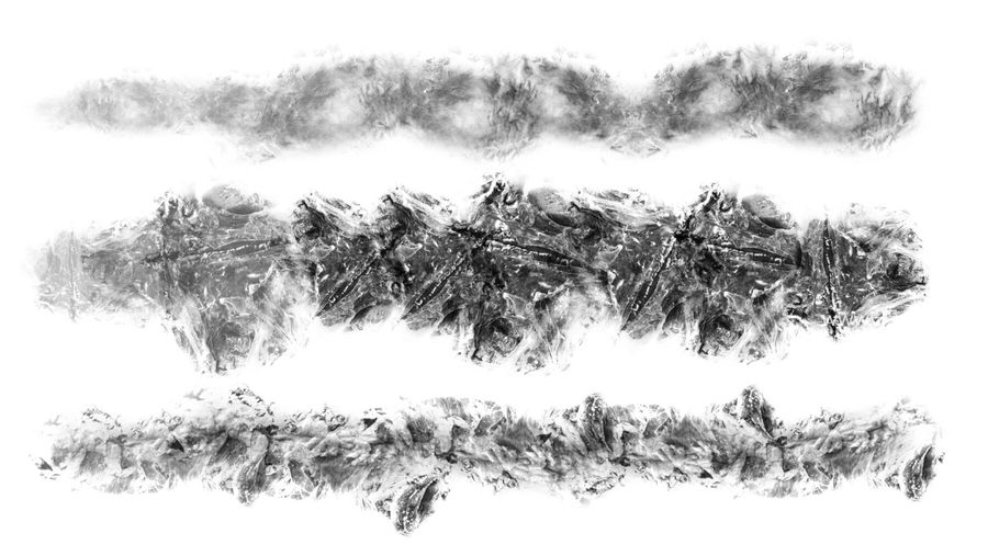 25xt-173012-Monster Skin Brush Set4.jpg
