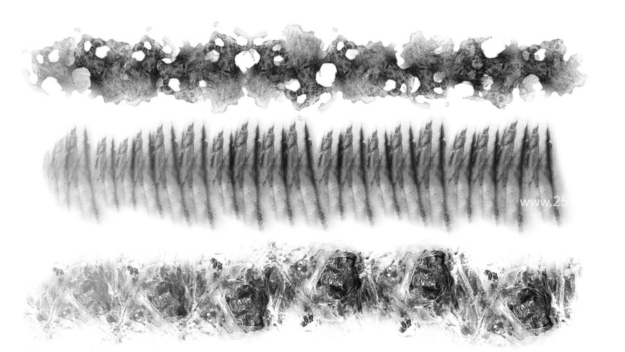 25xt-173012-Monster Skin Brush Set3.jpg