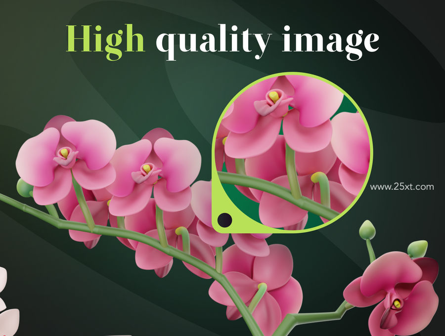 25xt-173041-Flowy - Flowers 3D Icon Set4.jpg