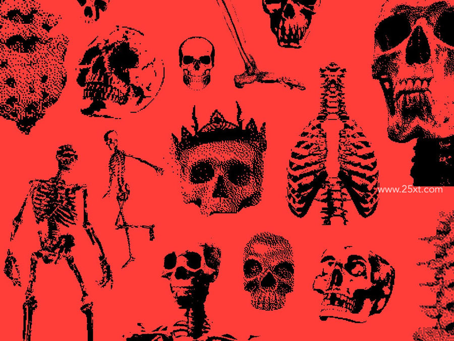 25xt-173051-Bitmap2.jpg