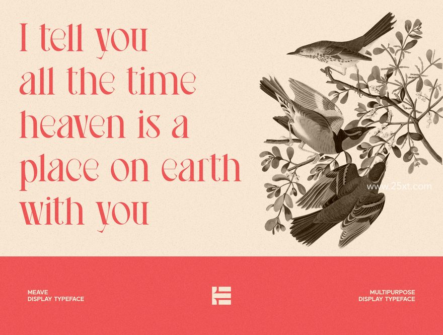 25xt-164269-Meave Display Typeface4.jpg