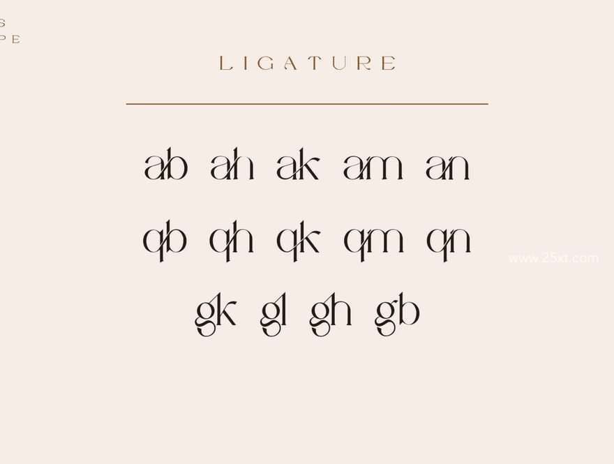 25xt-164356-Vilaka Modern Serif3.jpg
