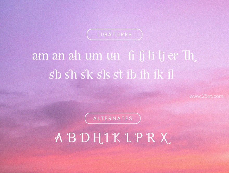 25xt-164626-Astina Serif10.jpg