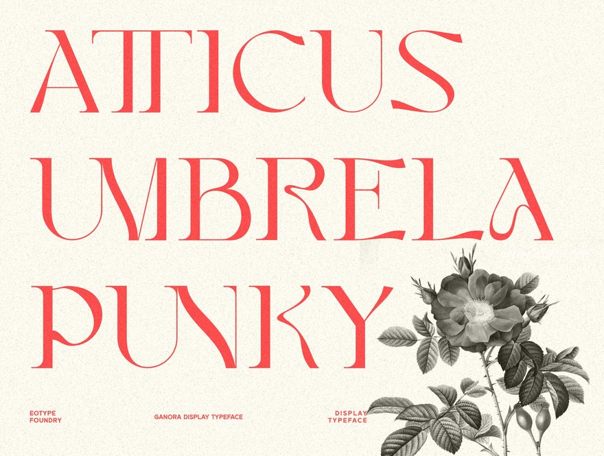25xt-165397-Ganora Font8.jpg