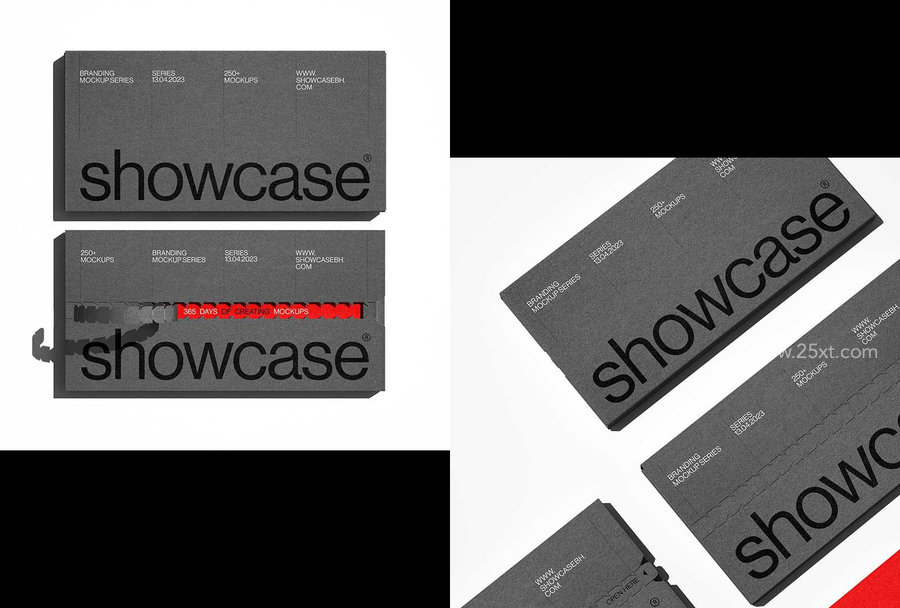 25xt-174209-365G_Branding Mockup Bundle3.jpg