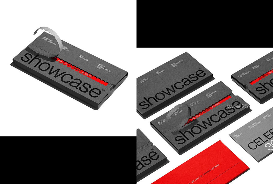25xt-174209-365G_Branding Mockup Bundle5.jpg