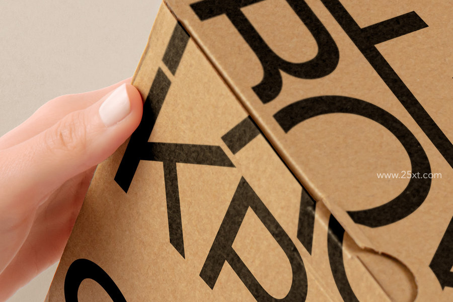 25xt-175152-Hands Holding Cardboard Psd Box Packaging3.jpg