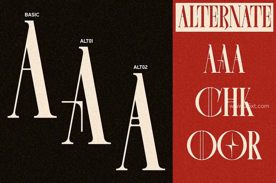 25xt-175354-chelion display serif 7.jpg