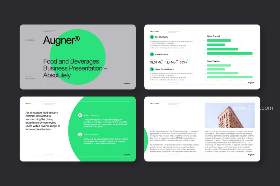25xt-176143-AugnerModernBusinessPresentationPowerpoint3.jpg