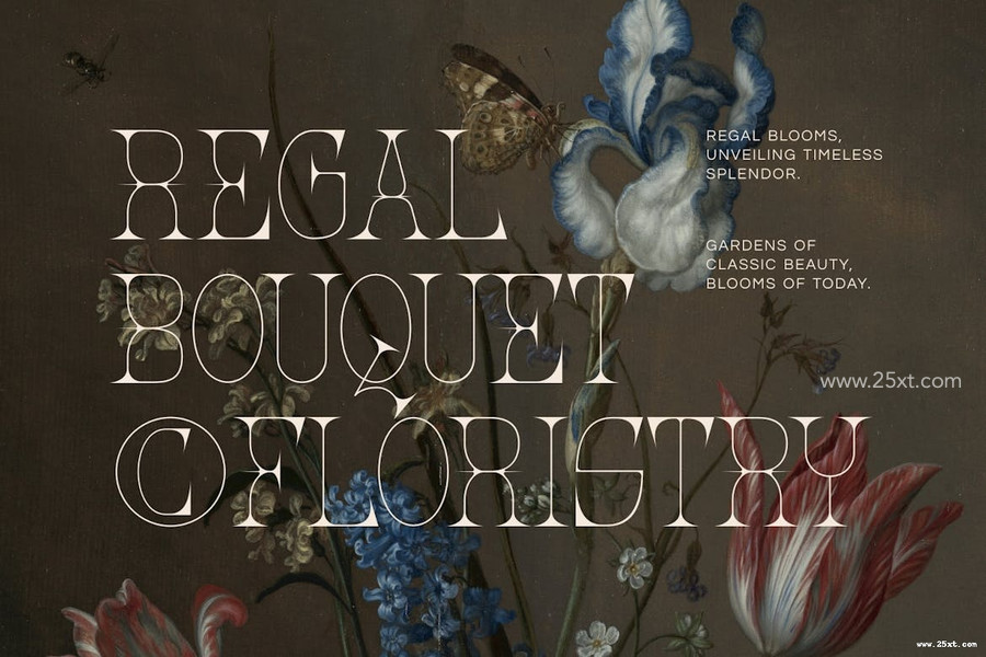 25xt-176149-Quenic - Unique Serif Font1.jpg