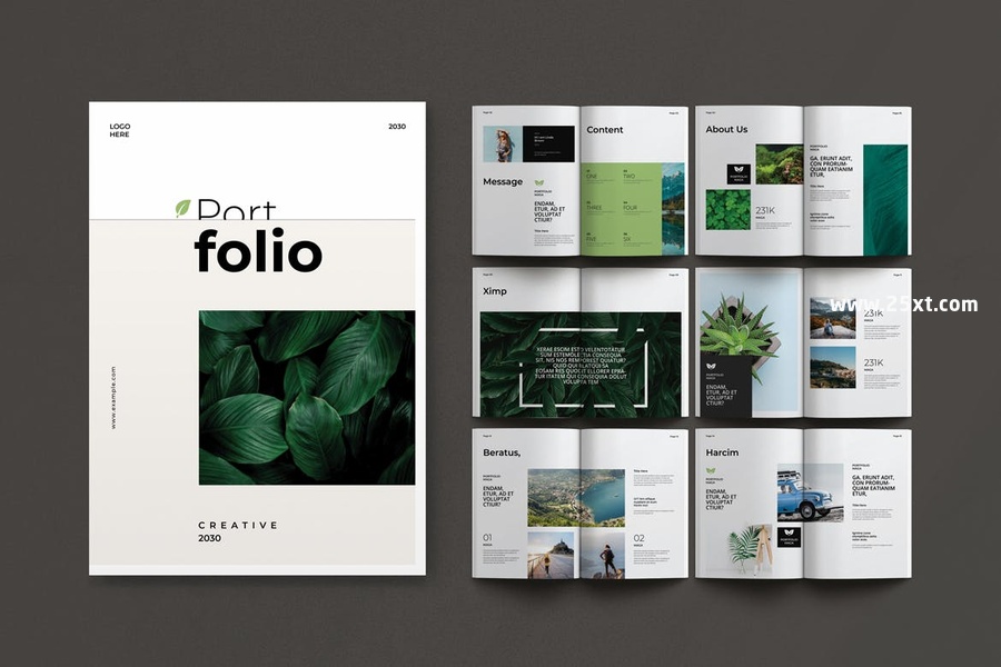 25xt-176120-Portfolio Magazine Template_3.jpg